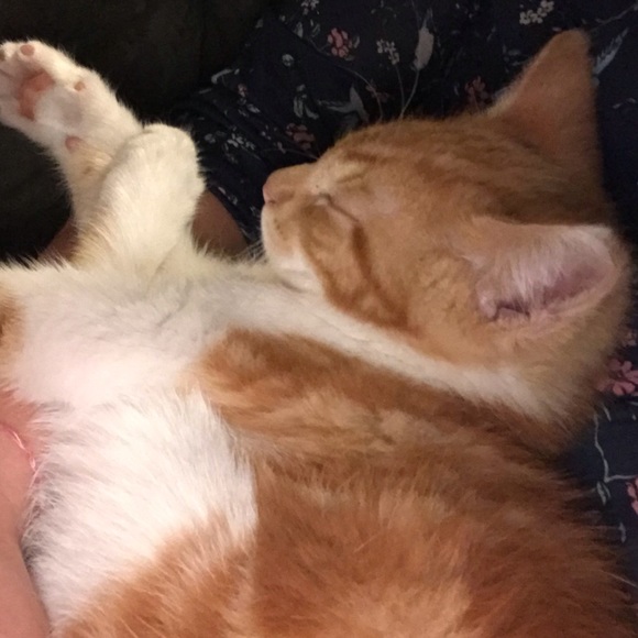 Meet your Posher, Kim - Picture 1 of 1